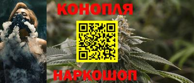 прущие грибы Донецк