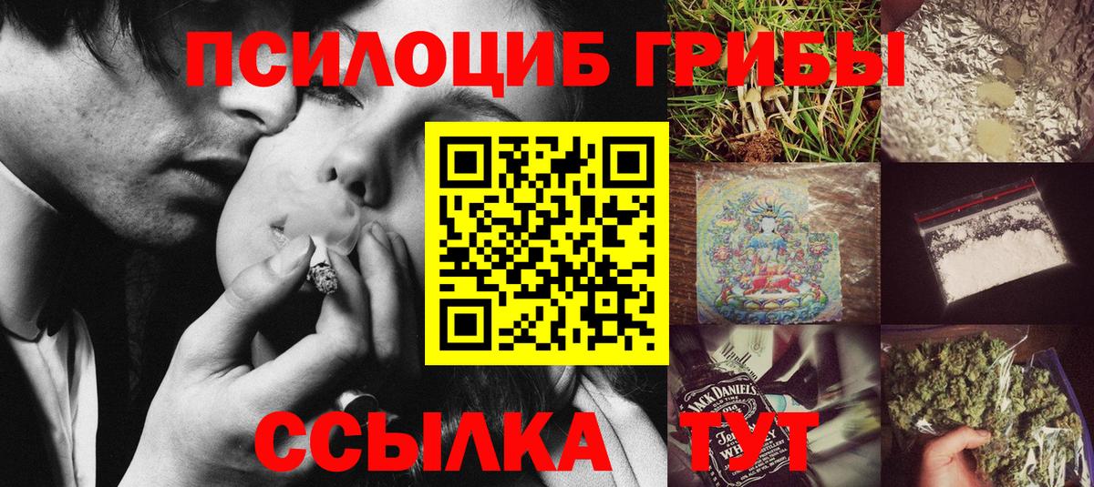 Псилоцибиновые грибы Psilocybine cubensis Мирный