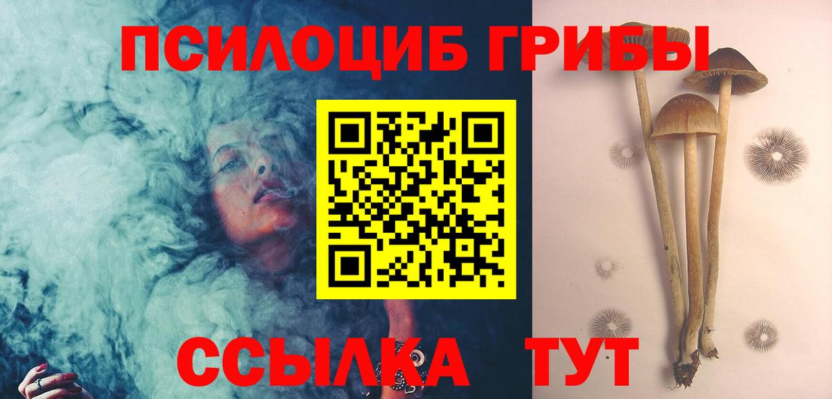Галлюциногенные грибы Psilocybe  Вход с VPN  Мирный 